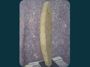 Blatt no 2, Schilfsandstein 2014 - 50x18 cm